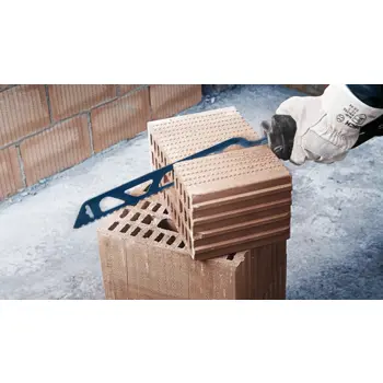 bosch-list-sabljaste-pile-za-suplju-ciglu-expert-hollow-bric-37375-81772.webp