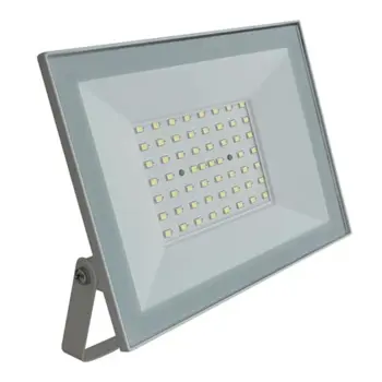 LED Reflektor vanjski 50W 6500K (Hladna Bijela) IP65 crni