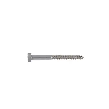 vijak-za-drvo-6x100-din-571-zn-w-71260-51084.webp