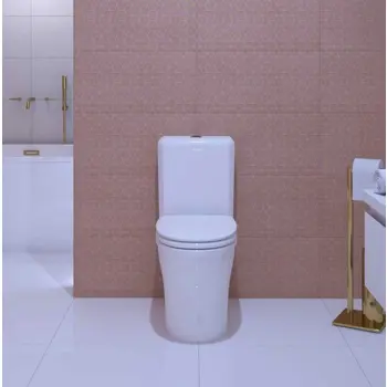 wc-monoblok-concepto-alt-s-daskom-soft-close-univerzalni-odv-80490-76419.webp