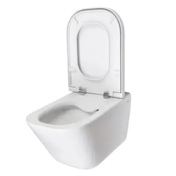 wc-skoljka-viseca-roca-rimless-gap-a34647l000-75553-76164.webp