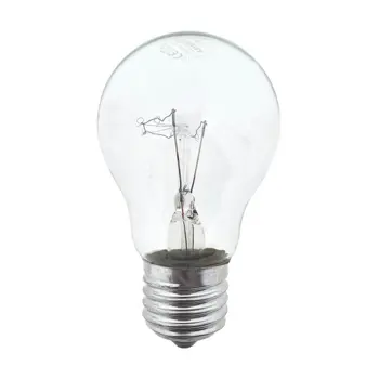 ŽARULJA SA ŽARNOM NITI 100W E27 A55 2700K 