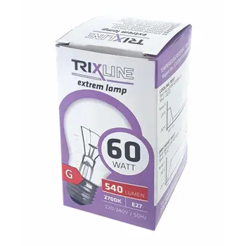 zarulja-sa-zarnom-niti-60w-e27-a55-2700k-70331-24255.webp