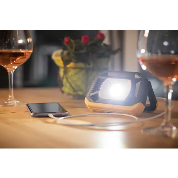 LED Reflektor Prijenosni (punjivi + powerbank) 8,5W 1000lm 6500K IP65 IK08