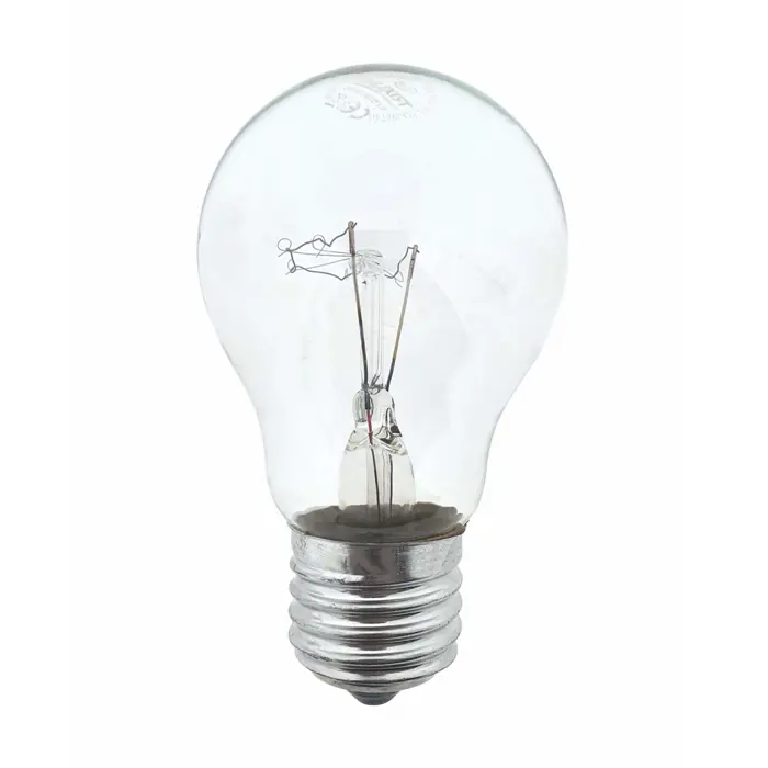 zarulja-sa-zarnom-niti-60w-e27-a55-2700k-69633-24255.webp